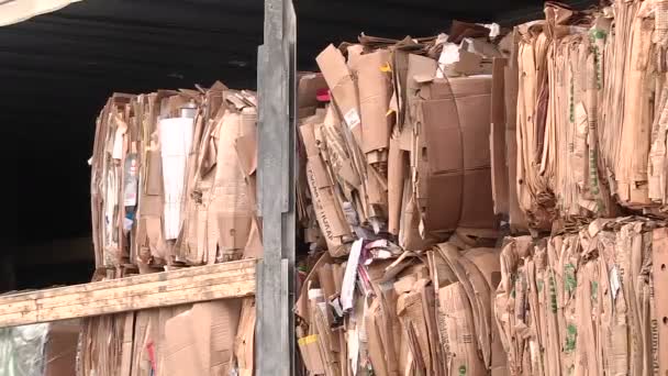 The cardboard packaging is compressed and prepared for recycling — Stock Video