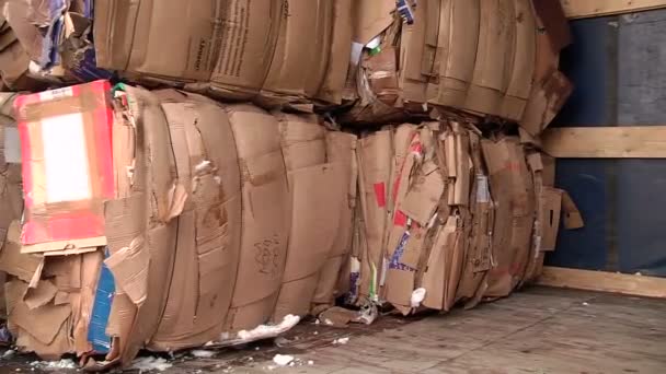 The cardboard packaging is compressed and prepared for recycling — Stock Video