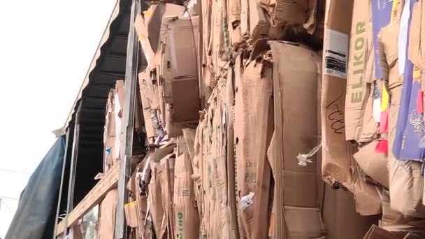 El envase de cartón se comprime y se prepara para el reciclaje — Vídeo de stock