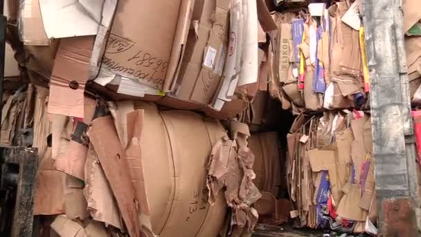 Chargement du carton pressé sur le camion pour l'envoi pour recyclage — Video