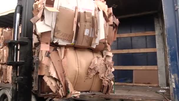 Caricamento del cartone pressato sul camion per l'invio per il riciclaggio — Video Stock