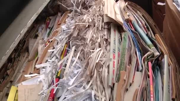 L'emballage en carton est comprimé et préparé pour le recyclage — Video