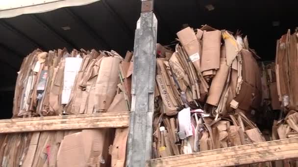The cardboard packaging is compressed and prepared for recycling — Stock Video