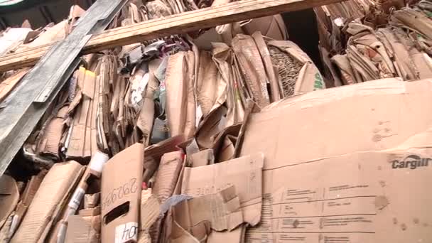 Χαρτόνι συσκευασίας είναι συμπιεσμένο και να προετοιμαστεί για την ανακύκλωση — Αρχείο Βίντεο