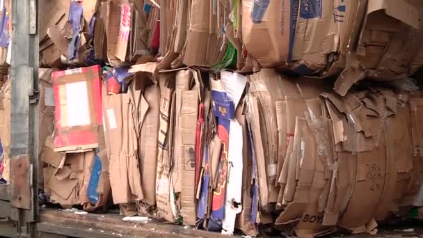 Opakowanie z tektury jest skompresowany i przygotowane do recyklingu — Wideo stockowe