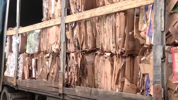 A embalagem de papelão é comprimida e preparada para reciclagem — Vídeo de Stock