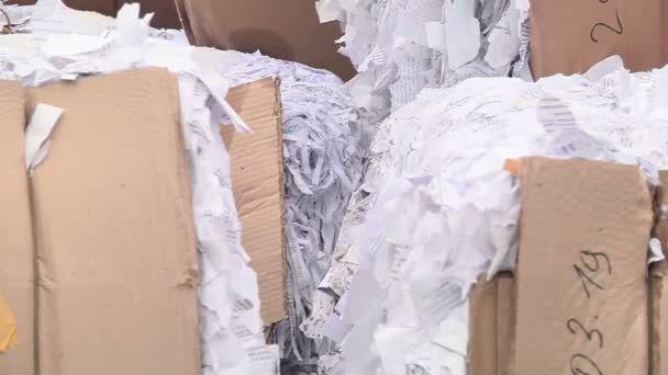 Aprított papírt préselt és kész a küldésre, újrahasznosítás — Stock videók