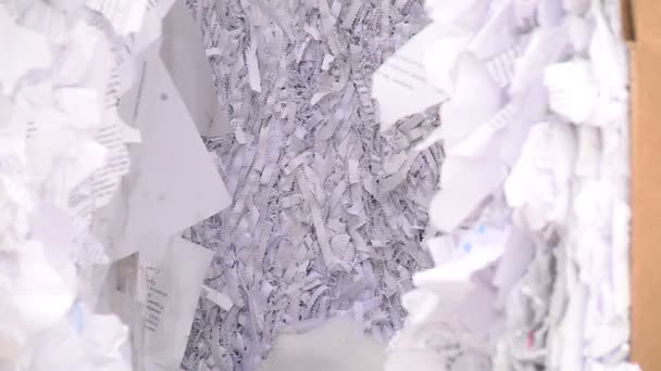 Papier déchiqueté pressé et prêt à être envoyé pour recyclage — Video