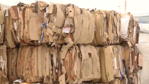 Kartonnen verpakkingen is gecomprimeerd en bereid voor recycling — Stockvideo