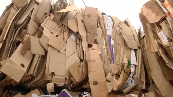 Opakowanie z tektury jest skompresowany i przygotowane do recyklingu — Wideo stockowe