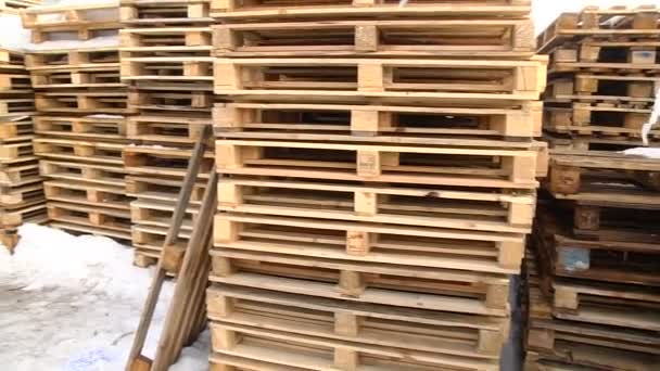 Stacks of wooden Europallets ready for use — Stock Video