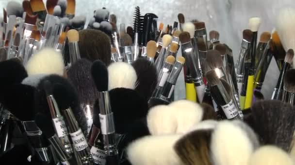Una amplia variedad de pinceles de maquillaje — Vídeo de stock