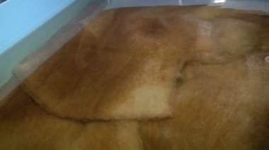 Aquaponics sistemi için su arıtma ve filtrasyon