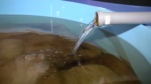 Trattamento e filtrazione acque per sistema aquaponico — Video Stock