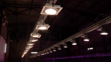 Özel lambalar altında Aquaponics tarafından büyüyen bitkiler