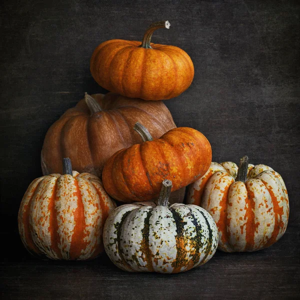 Hermosa Calabaza Sobre Fondo Marrón Oscuro Con Una Textura Cosecha —  Fotos de Stock