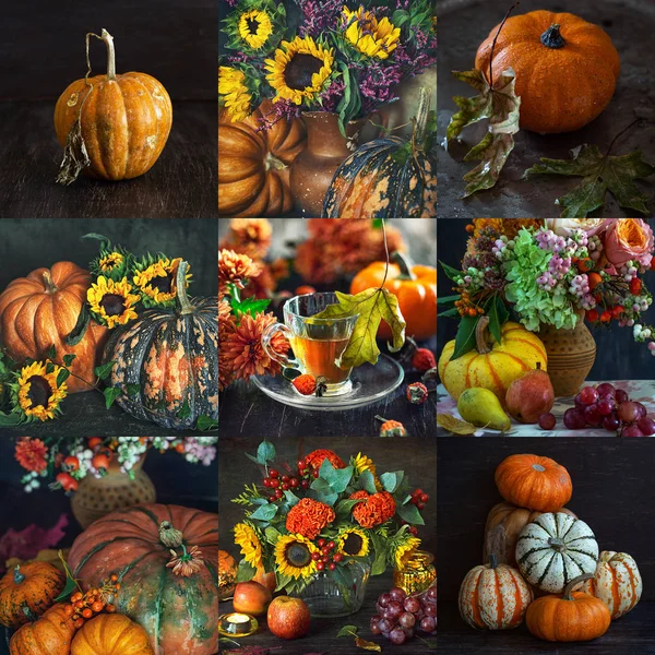 Set of autumn pictures. Beautiful pumpkin on a dark brown background with a texture.Harvest of Pumpkins. Autumn mood.