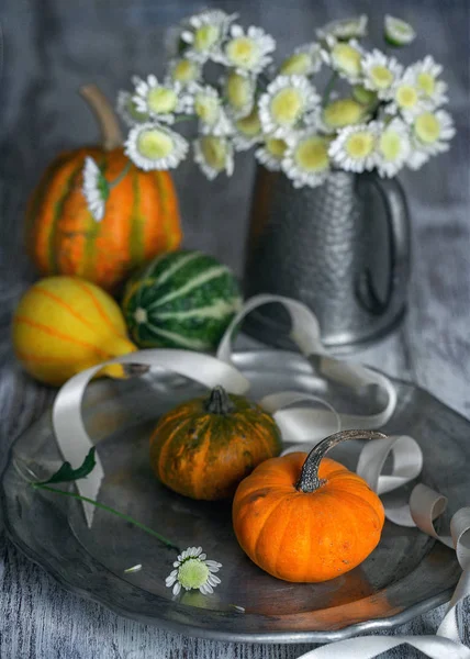 Composición Otoñal Con Flores Calabazas Margaritas — Foto de Stock