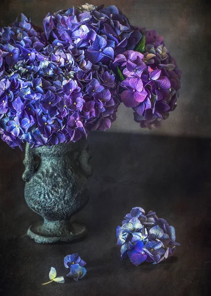 Hortensia Violette Dans Vase Antique Sur Table — Photo