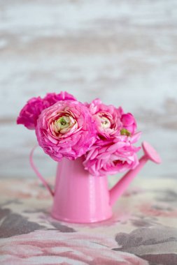 Vazoda pembe Ranunculus çiçekleri olan çiçek kompozisyonu. Güzel bir buket bahar çiçeği..