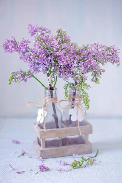 Beau Lilas Violet Dans Vase Sur Une Table Fond Bleu — Photo