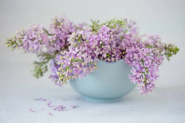 Bir Leylak Ile Yakın Çekim Çiçek Kompozisyon Pastel Renkler — Stok fotoğraf