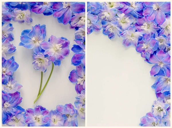 Composition Avec Des Fleurs Bleues Delphinium Sur Fond Bois Bleu — Photo
