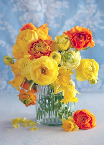 Buquê Primavera Flores Amarelas Fundo Luz Azul — Fotografia de Stock