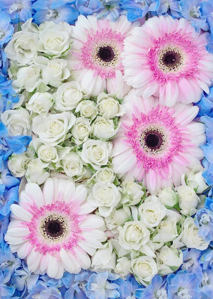 来自不同花玫瑰 采尔贝拉斯和蓝色德尔菲尼姆的自然背景 可爱的一束鲜花 — 图库照片
