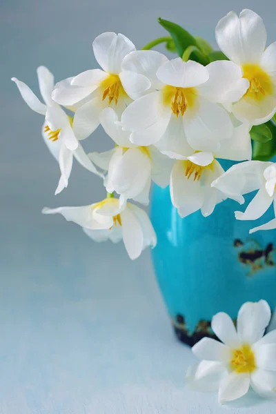 可爱的一束鲜花 特写花卉组合与郁金香 美丽的白色新鲜郁金香在一个蓝色的陶瓷花瓶 — 图库照片