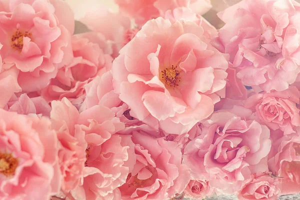 Composizione Floreale Primo Piano Con Rose Rosa Molte Belle Rose — Foto Stock