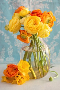 Sarı çiçekli bahar buketi mavi ışık arka planında.