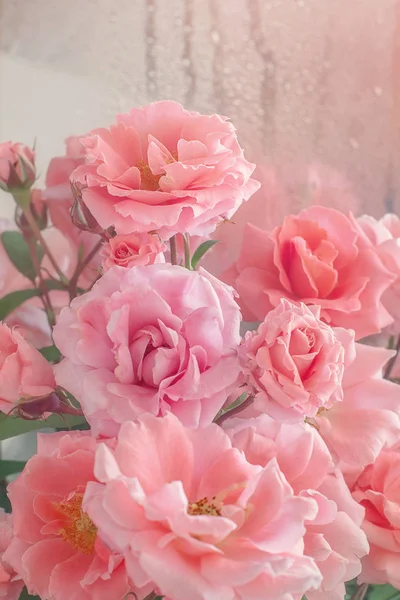 Close Bloemcompositie Met Een Roze Rozen Veel Mooie Frisse Roze — Stockfoto
