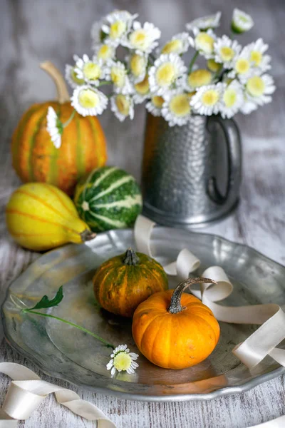 Composición Otoñal Con Flores Calabazas Margaritas — Foto de Stock