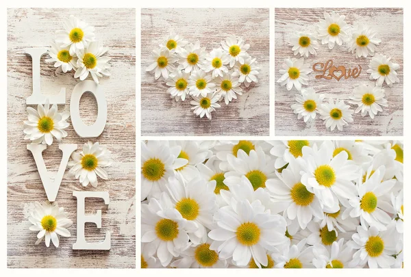 Das Wort Liebe Und Gänseblümchen Blumen Auf Einem Hölzernen Hintergrund — Stockfoto