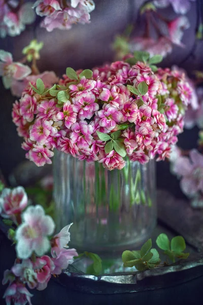 Mooie Bos Bloemen Roze Kalanchoë Bloemen Tafel — Stockfoto