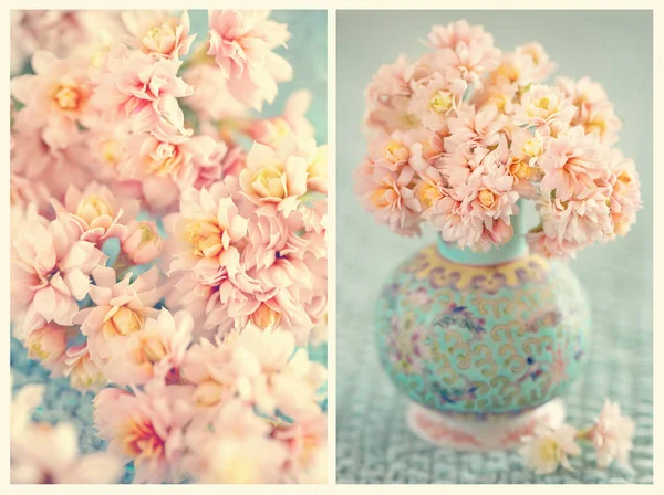 Schöner Blumenstrauß Rosa Kalanchoe Blumen Auf Dem Tisch Collage Von — Stockfoto