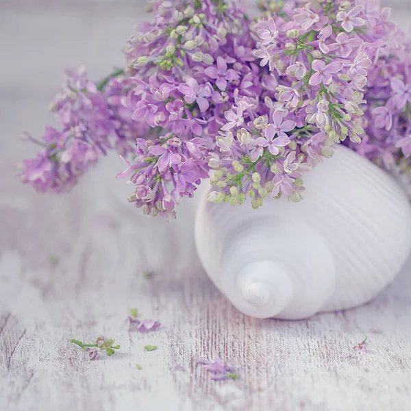 クローズ アップ ライラックの花の組成物 パステル カラー — ストック写真