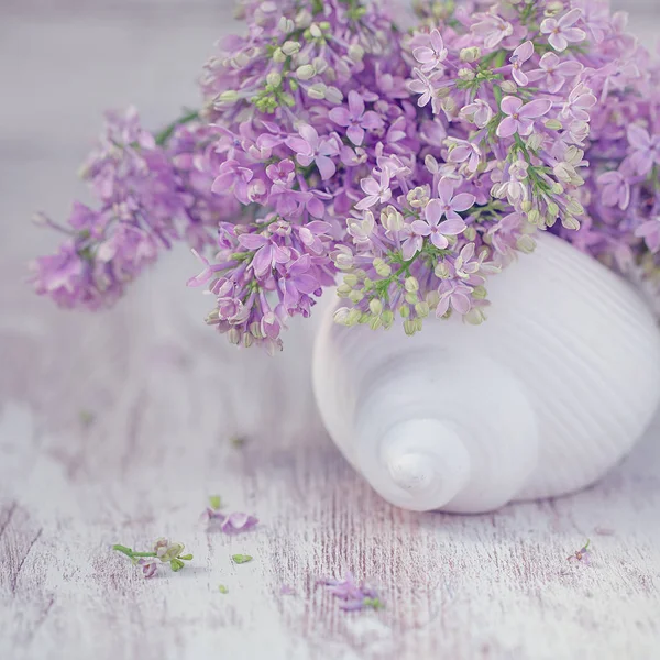 Närbild Blommig Komposition Med Syrener Pastellfärger — Stockfoto