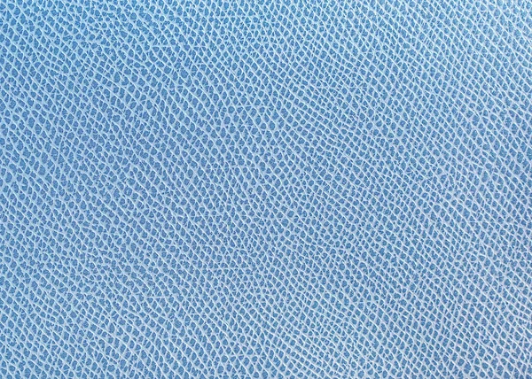 Textura Pele Azul Textura Couro Como Fundo — Fotografia de Stock