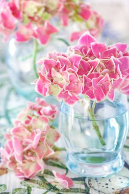 Renkli bir masada, güzel bir vazoda pembe ortanca çiçekleri. 