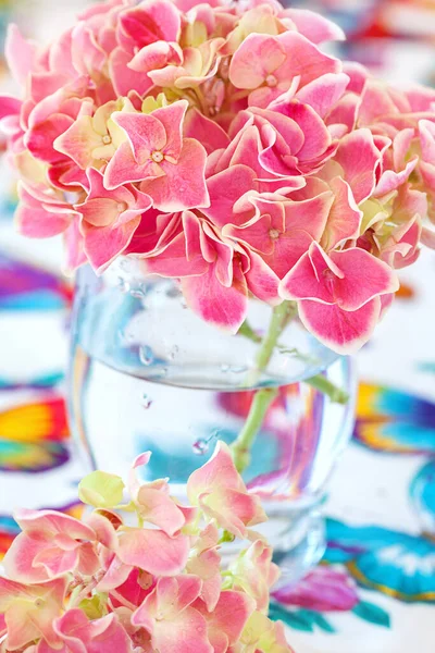 Όμορφα Ροζ Λουλούδια Ορτανσία Ένα Βάζο Ένα Τραπέζι — Φωτογραφία Αρχείου