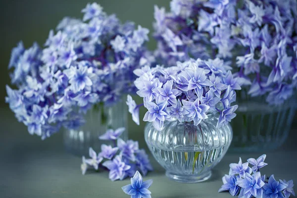 桌上花瓶里有一束漂亮的紫色绣花 — 图库照片