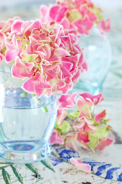 Ljus Bukett Vacker Rosa Hortensia Vas Bordet Härliga Blomklasar — Stockfoto