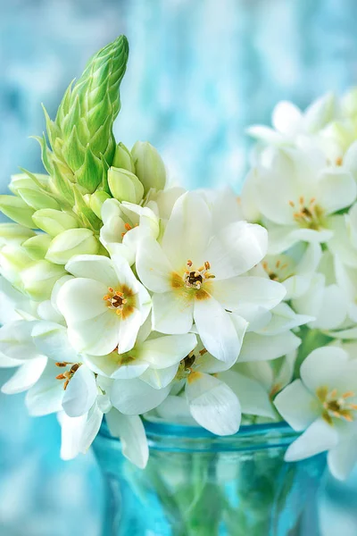 Beautiful white flowers. Beautiful bouquet of spring flowers in a vase on the table. Lovely bunch of flowers.Pastel tonality.