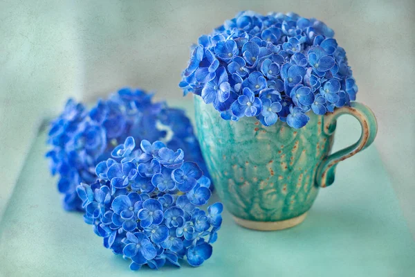 Schöne Blaue Hortensienblüten Aus Nächster Nähe — Stockfoto