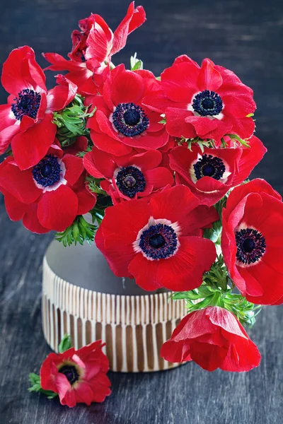 可爱的一束花 红色茴香花的特写 春花的美丽花束 — 图库照片