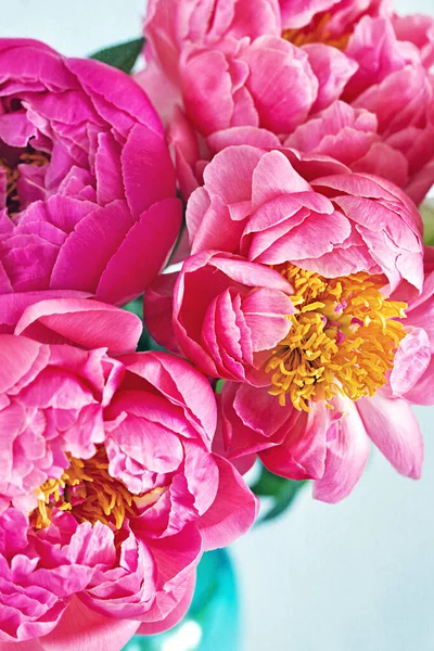 Närbild Blommig Sammansättning Med Rosa Pioner — Stockfoto