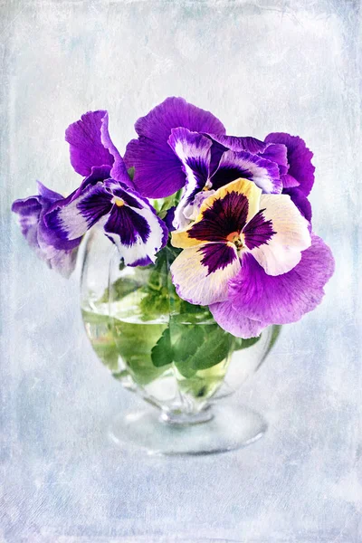 Mavi Arka Planda Güzel Bir Nonoş Çiçeğinin Fotoğrafı Güzel Narin — Stok fotoğraf