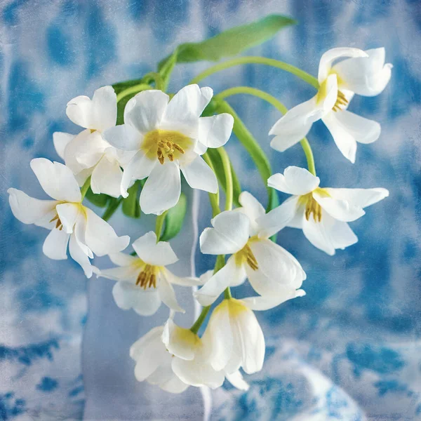 Precioso Ramo Flores Close Composición Floral Con Tulipanes — Foto de Stock